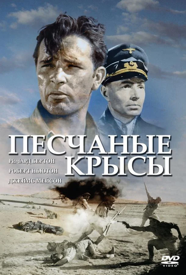 Постер к Песчаные крысы (1953)