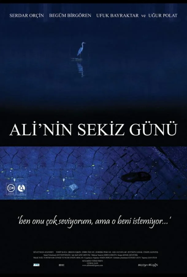 Восемь дней Али (2009)