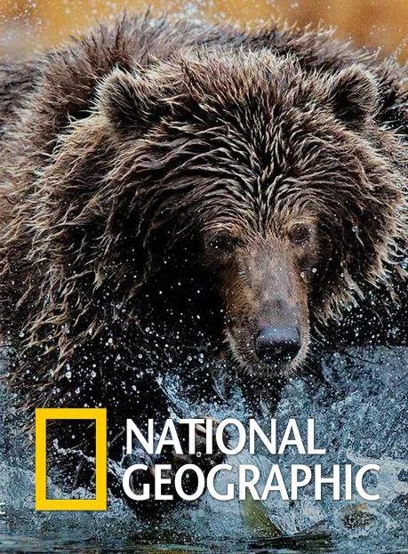 Постер к National Geographic. Империя гризли (2015)